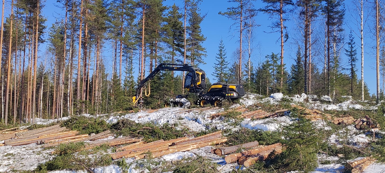 Pitkämäki & Ruuskanen Forest Oy - Metsänhoito ja lentolannoitus
