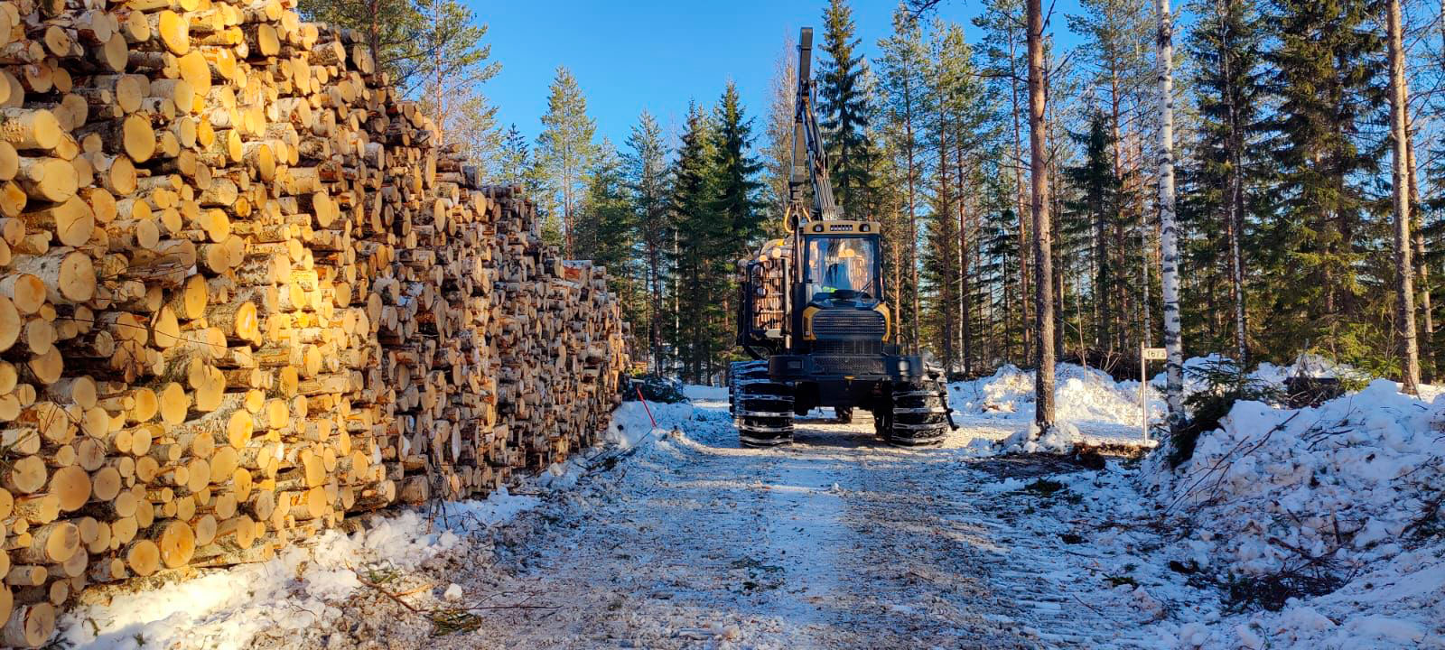 Pitkämäki & Ruuskanen Forest Oy - Metsäkoneurakointi Pohjois-Savo